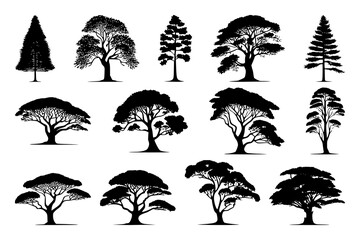 Obraz premium Vector silhouette of a tree with intricate branches and leaves. Perfect for nature-inspired designs, backgrounds, and illustrations. Black and white art ideal for eco friendly and outdoor themes.