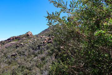 Freycinet national park, Winegalss bay, Tasmania, Tassia, Tasman wilderness, Australia 