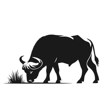 recommend clip art: Clean Black and white Vector silhouette of a Buffalo on white background