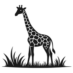 Obraz premium Clean Black and white Vector silhouette of a Giraffe on white background