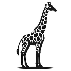 Clean Black and white Vector silhouette of a Giraffe on white background