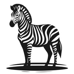 Clean Black and white Vector silhouette of a Zebra on white background