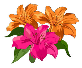 Vector Images For printing on Fabric, Wallpaper, Carpet, Ceramics, etc.


