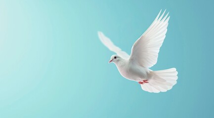 Flying white dove against the blue sky. Freedom and peace concept. 3D rendering. Banner, place for text.