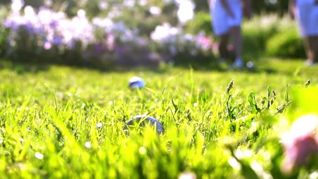 Elderly and young people playing petanque on green grass