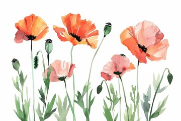 Naklejka premium A bouquet of colorful flowers on a clean white background, suitable for use in branding, advertising or decorative purposes