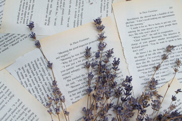 Lavender flowers, lavender on a background of book sheets background, with lavender flowers