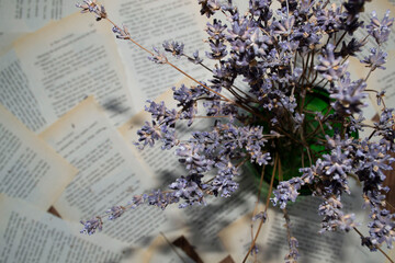 Lavender flowers, lavender on a background of book sheets background, with lavender flowers