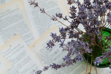 Lavender flowers, lavender on a background of book sheets background, with lavender flowers