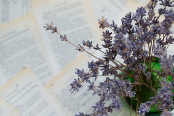 Lavender flowers, lavender on a background of book sheets background, with lavender flowers