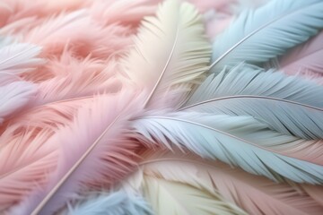 pink feather background