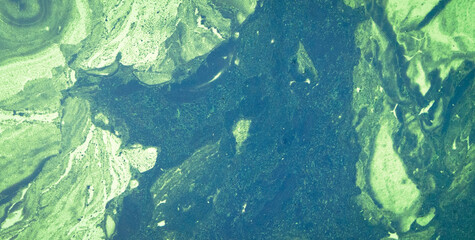 The Enchanting Dance: Free-Flowing Colors in Liquid Art with an Ethereal Touch
