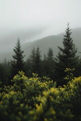 Fototapeta premium Exploring Alaska's natural beauty spots, highlighting the stunning and pristine landscapes.