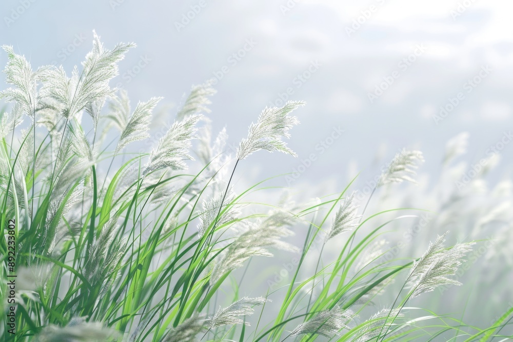 Poster a dense cluster of tall grasses with green blades and brown tips, ideal for use as background or to 