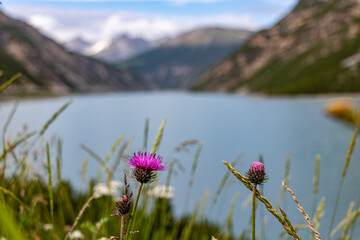 Lago di Livigno in Italien