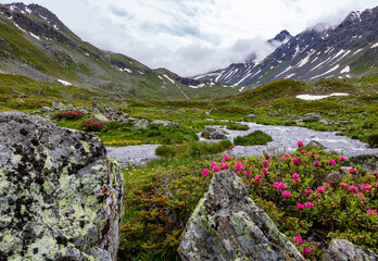 Flüelapass in der Schweiz