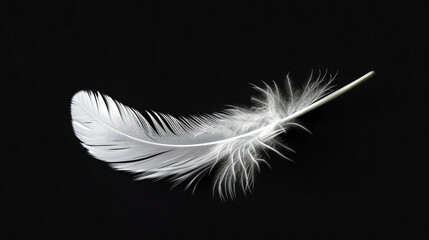 Obraz premium A photorealistic, high-resolution close-up of a white feather set against a black background. Generative AI