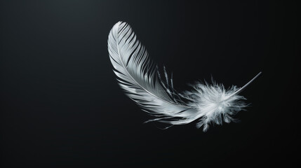 Obraz premium A photorealistic, high-resolution close-up of a white feather set against a black background. Generative AI