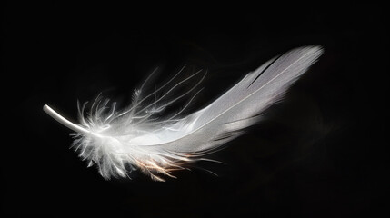 Obraz premium A photorealistic, high-resolution close-up of a white feather set against a black background. Generative AI