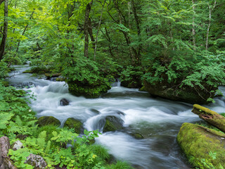 Obraz premium 奥入瀬