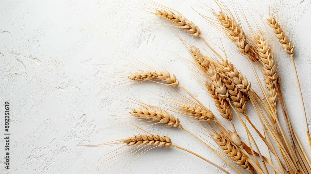 Poster organic wheat pods with seeds in horizontal layout for text placement