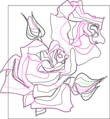 Vector silhouette illustration sketch, detailed design, painting, rose, decoration, ornament, icon, symbol of love for your beloved partner