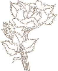 Vector silhouette illustration sketch, detailed design, rose flower, ornament, icon, symbol of love for your beloved partner