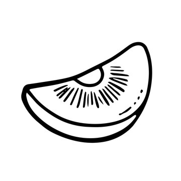 recommend clip art:  kiwi vector illustration. outline drawing of sour green fruit, on a white background