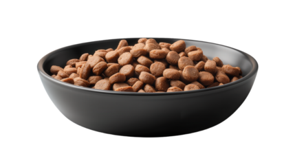 A bowl filled with dry dog food kibble isolated on transparent background