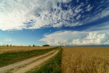 landscape with a road