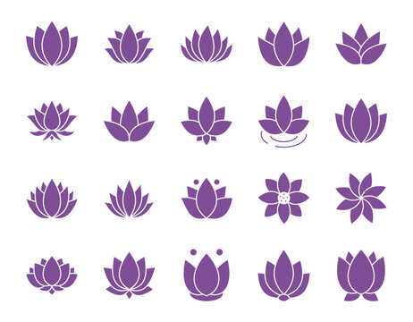 Vector water lily icon. Yoga lotus purple symbol, flower of well-being and healthy lifestyle, elegant blooming. Natural simple plant elements on white background. Editable stroke thin line set.