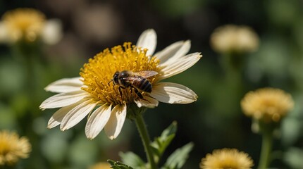Obraz premium photo of honey bees taking nectar from flowers made by AI generative