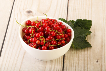 Ripe sweet organic red currant heap