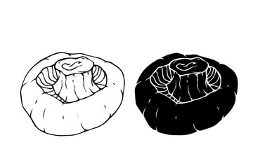 Linear sketch, silhouette, stamp of forest mushrooms. Vector graphics