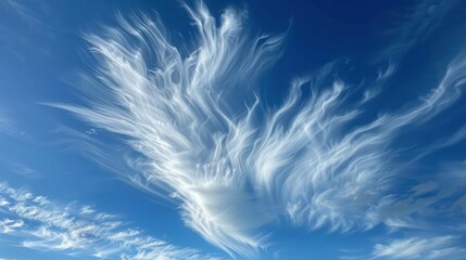 Elegant Wispy Cloud Resembling a Peacock's Spread Feathers in the Sky