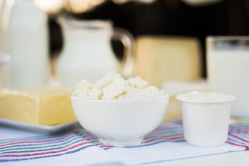 Milk, cottage cheese, cream, cheese on table against background of cows