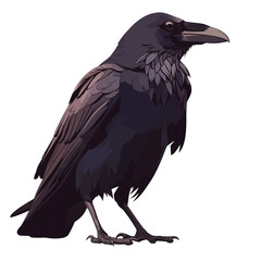 Fototapeta premium a 2d cartoon clipart drawing of a raven on an isolated transparent background