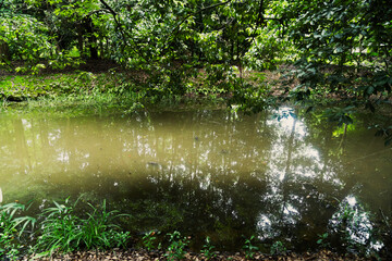 唐招提寺の美しい庭園