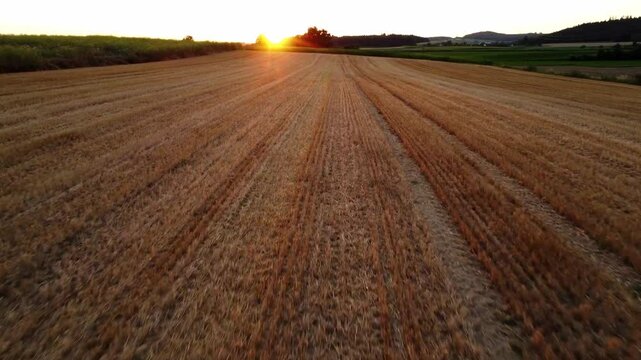 Feld ind er Sonne