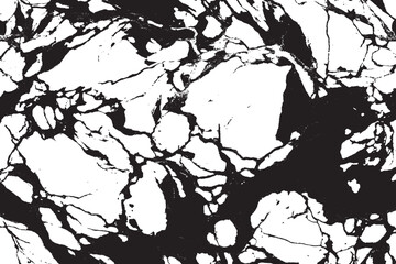 Obraz premium Elegant Monochrome Marble Texture Design
