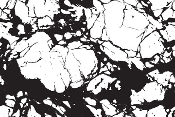 Elegant Monochrome Marble Texture Design