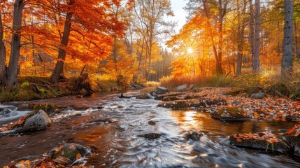 A serene autumn forest with vibrant orange leaves and a gentle stream flowing through, capturing the beauty of nature in fall
