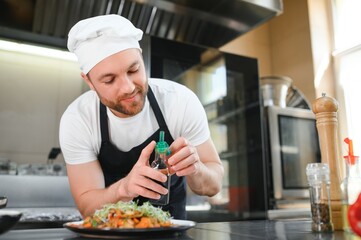 Portrait of handsome positive chef cook at the restaurant kitchen
