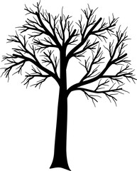 Obraz premium Dead tree silhouette