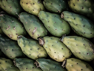 Rows of green prickly pears ready to eat. Prickly pear background from above