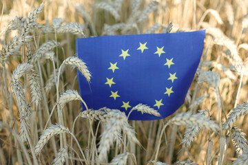 European Union Flag on the golden wheat field background. Sunlight. 
