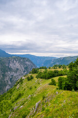 Lush green hillside with mountains on a cloudy day