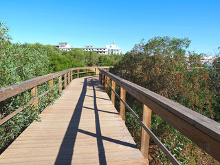 Obraz premium Beautiful nature on the ponta da Piedade hike starting at beach praia de dona ana in Lagos on new wooden boardwalks