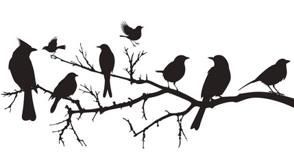 Silhouettes of birds perched on tree branches. Various species depicted, including songbirds and larger birds. Black illustration showcasing avian diversity isolated over blank transparent background
