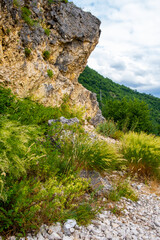The mountain is densely covered with trees and rocks under a cloudy sky